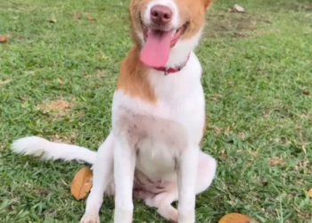 H2702062_Please don make us tell her We are really baffl