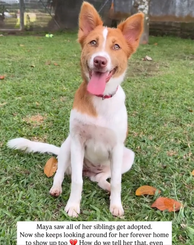 H2702062_Please don make us tell her We are really baffl