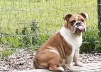 H2702064_Some miracles really do show up at your door