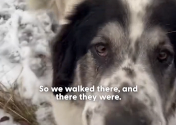 H2702067_sweet mama didn hesitate when she saw help