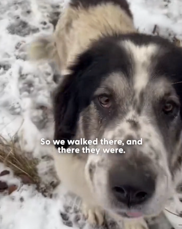 H2702067_sweet mama didn hesitate when she saw help