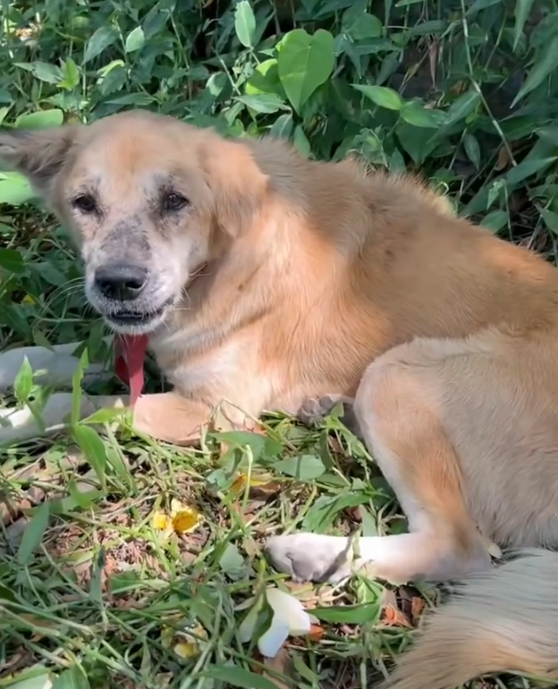 H2702069_Thank you helping us help Bobby We are pleased