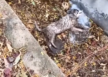 T3001076 Every breath felt heavier than the last