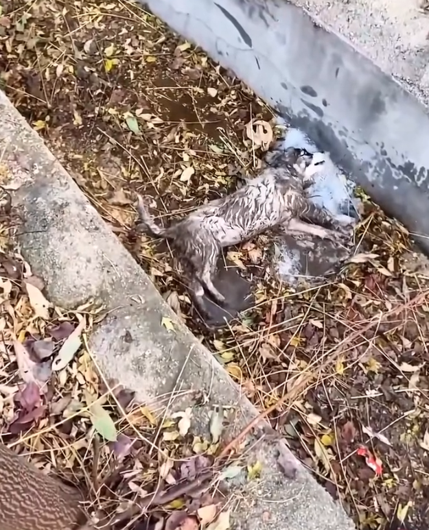 T3001076 Every breath felt heavier than the last