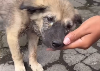 H2702072_Do you believe in miracles We certainly do