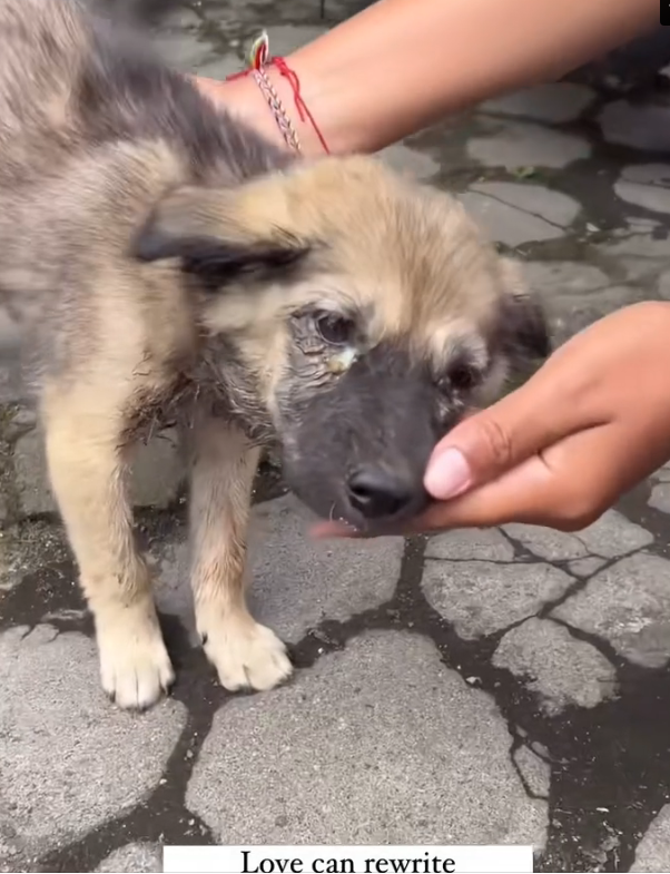 H2702072_Do you believe in miracles We certainly do