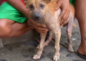 H2702083_Saving lives together you During our health