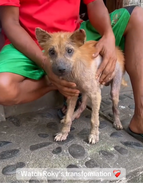 H2702083_Saving lives together you During our health