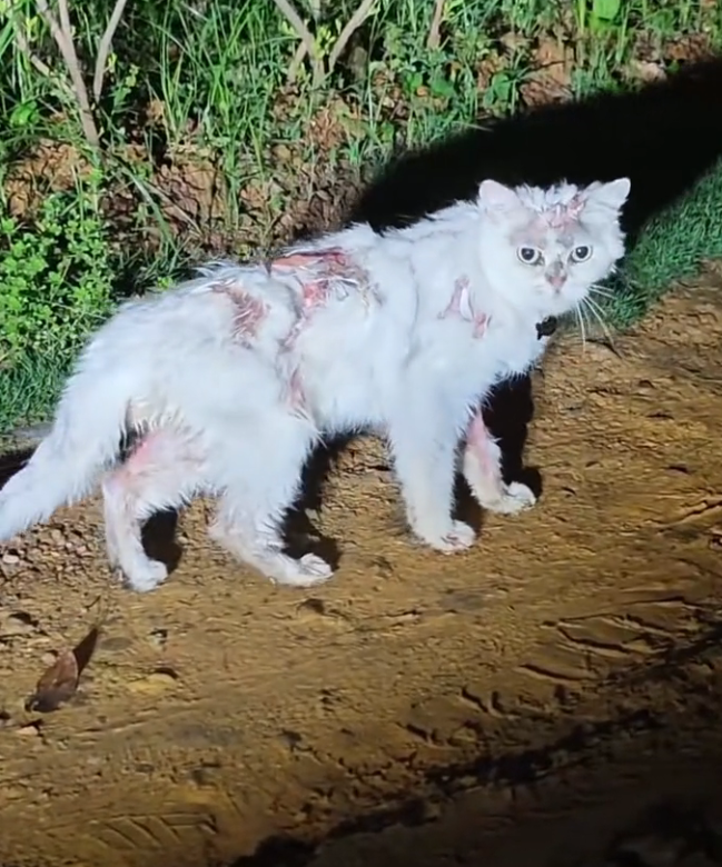 K0402053 Time was never on its side