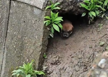 K0402049 The struggle stayed invisible for too long