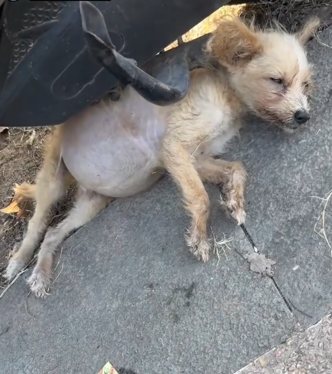 L0402001 Every delay made it worse