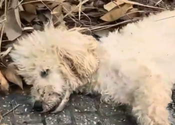 H2601040 Another moment closer to losing everything