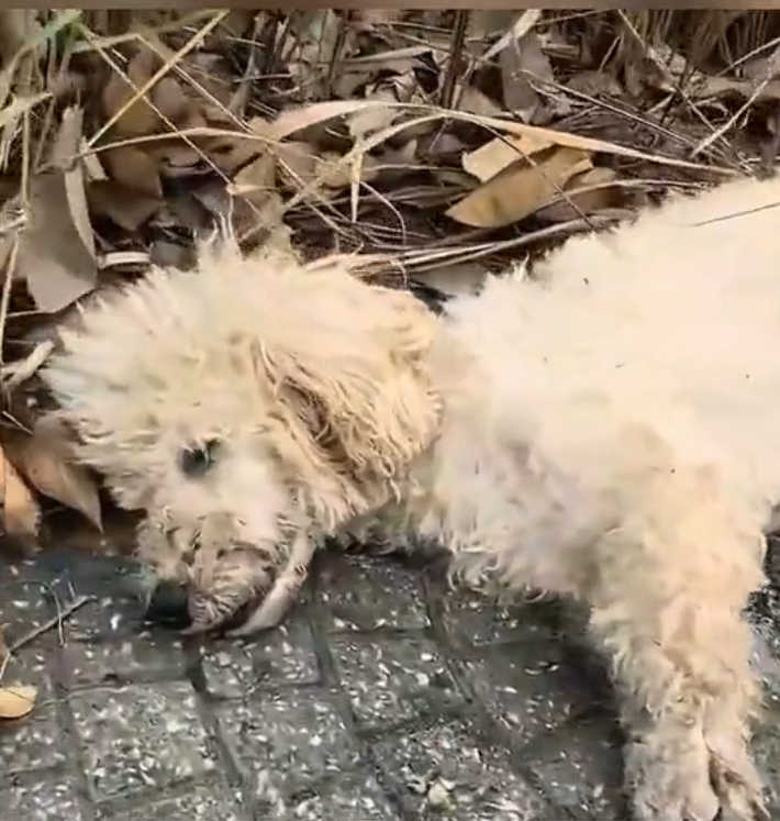 H2601040 Another moment closer to losing everything