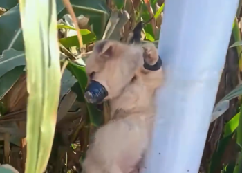 H2601035 Help came after the breaking point