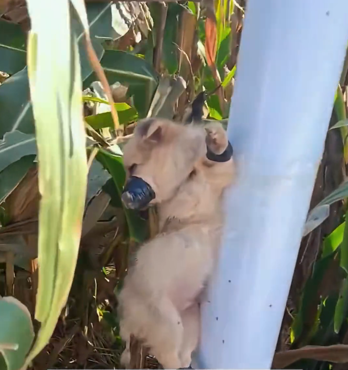 H2601035 Help came after the breaking point