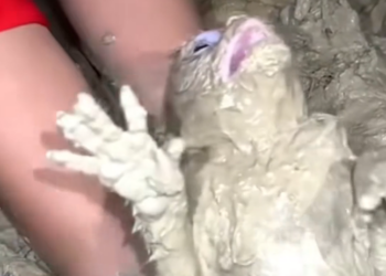 H2601021 Survival felt uncertain every second