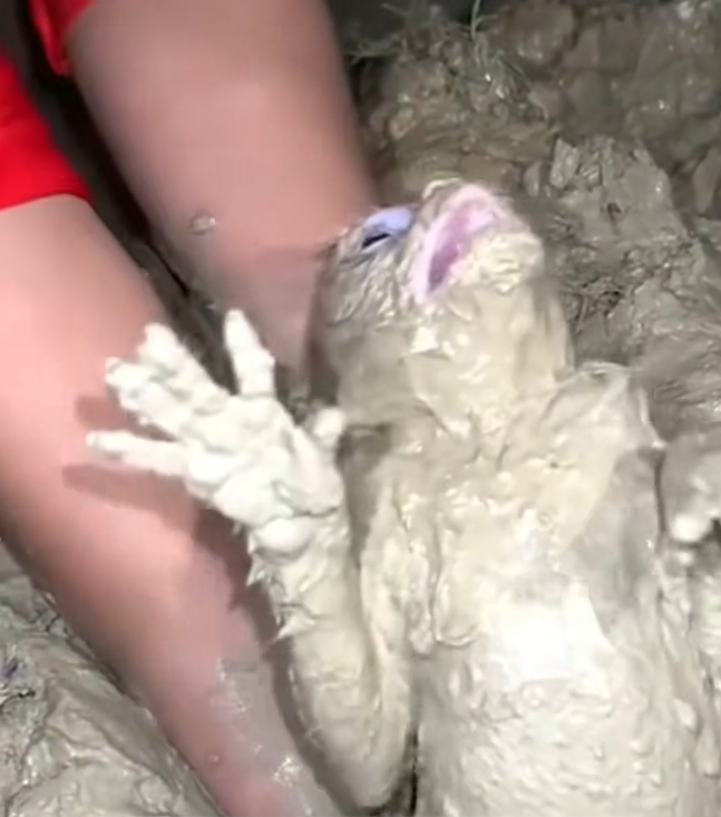 H2601021 Survival felt uncertain every second