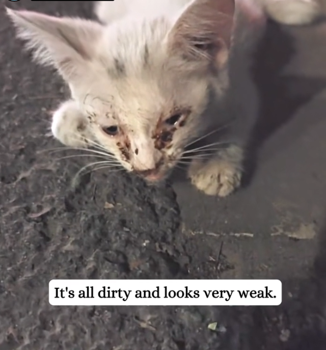 H2601011 This struggle never asked for attention