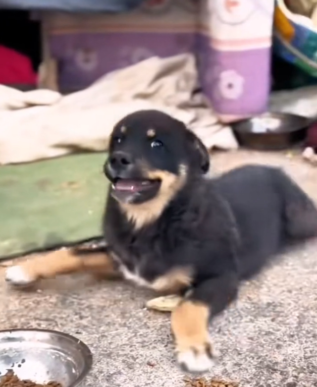 T3001073 Pain settled in and refused to leave