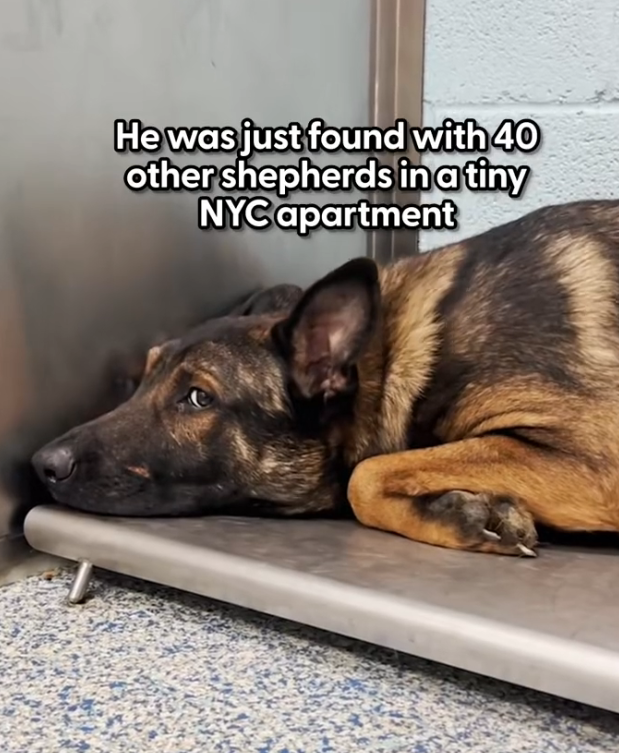 K0402141 Pain grew stronger as hope weakened