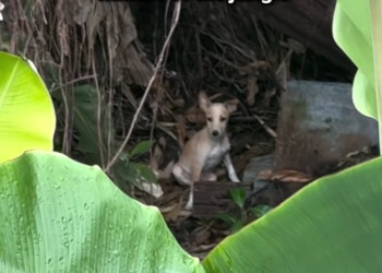 K0402140 No protection from the world outside