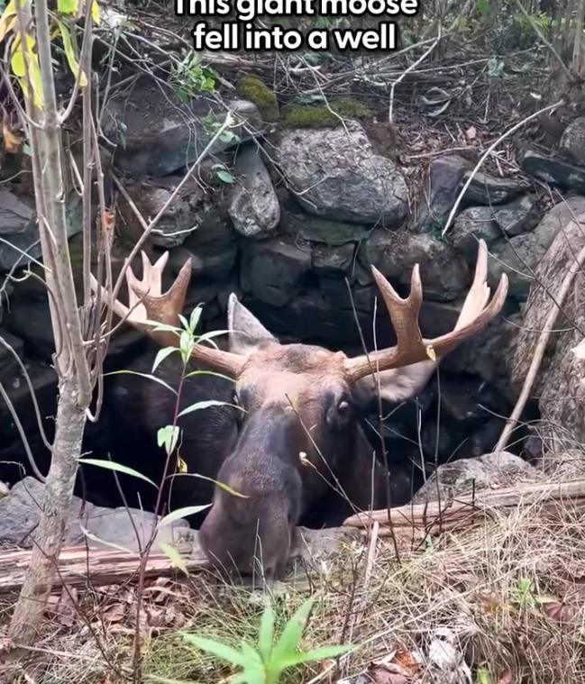 K0402139 This life endured without witnesses