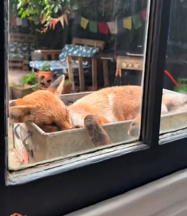 K0402042 The wait left lasting damage