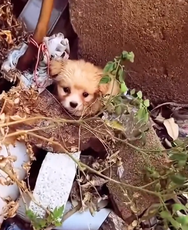 T3001071 Hope grew thinner with each hour