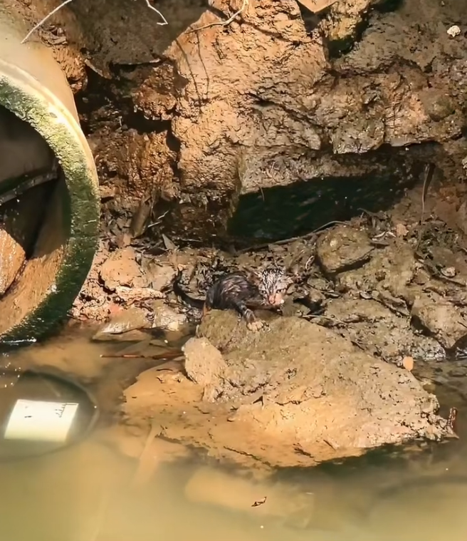 K0402025 A life tested by indifference