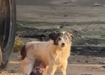 L0402002 Help arrived just before the end