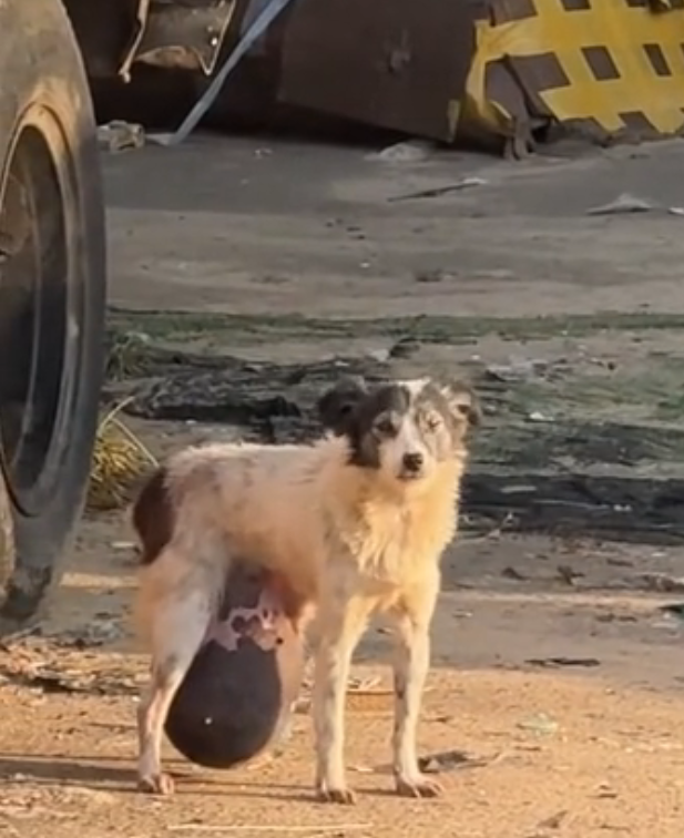 L0402002 Help arrived just before the end