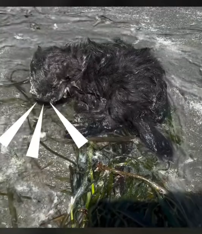 K0402103 The body endured quietly