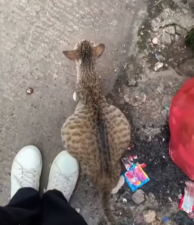 K0402017 Time nearly erased this life