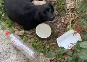 K0402011 The pain stayed longer than anyone knew