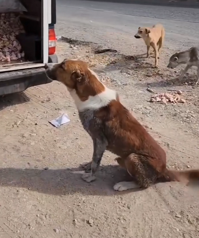 K0402005 Left where compassion never passed