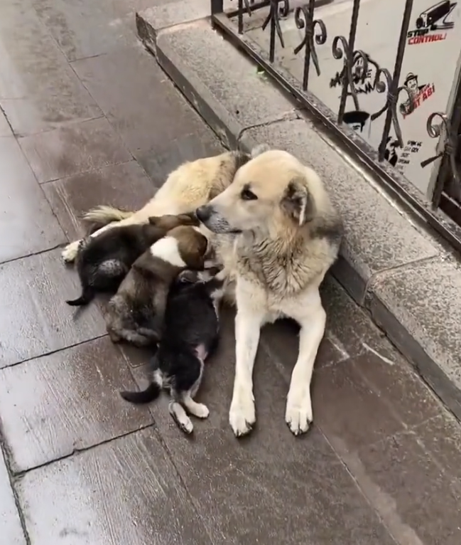 K0402001 The damage wasn’t just visible