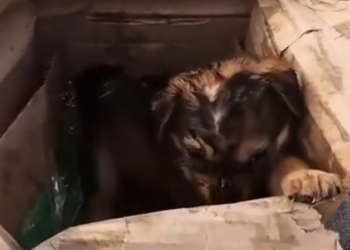 T3001080 The cold wasn’t the worst part