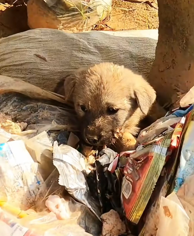 T3001094 Help was never supposed to come this late