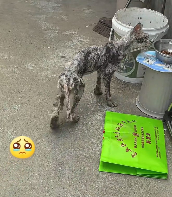 H2601048 No comfort, only endurance