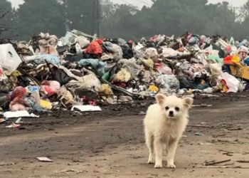 T3001093 The world offered nothing but time