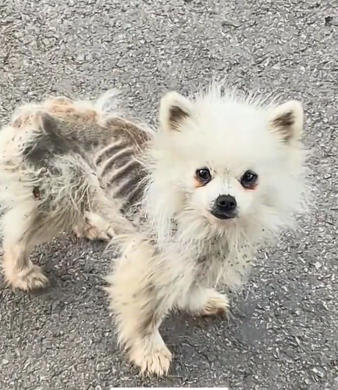 H2601032 A forgotten corner hid this pain