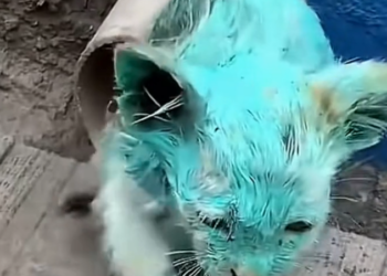 H2601024 Nothing about this was fair