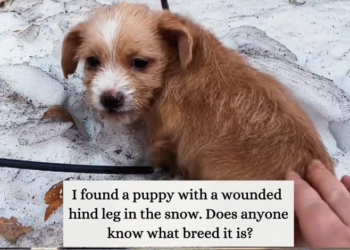 H2601020 One step closer to the edge