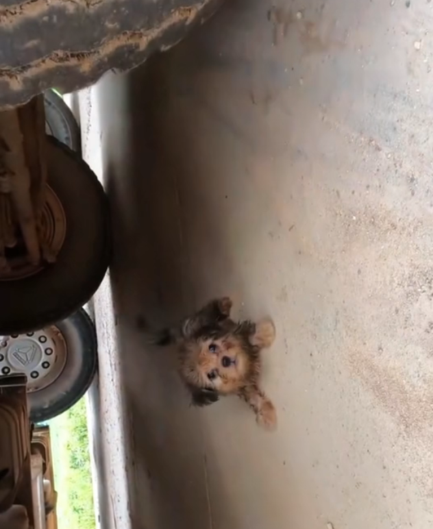 T3001092 Still here, though barely holding together