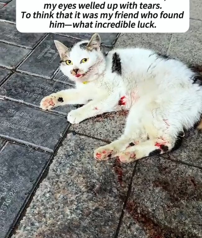 K0402036 This shouldn’t have been a survival test