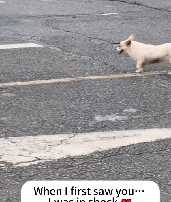 K0402061 This shouldn’t have been a survival test