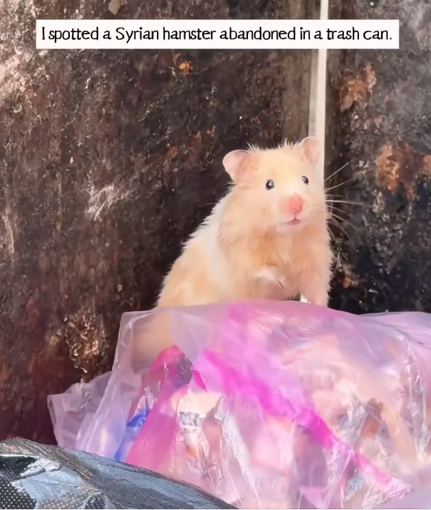 K0402059 Hope flickered, barely visible