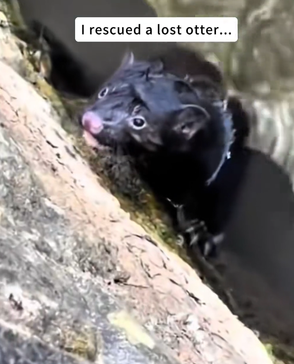 K0402052 Another life almost lost to delay