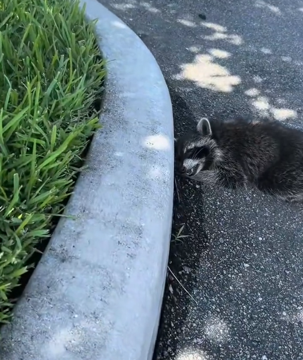 K0402044 This is what being left behind creates