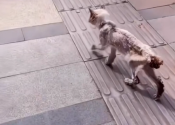 K0402026 No one knew the countdown had started